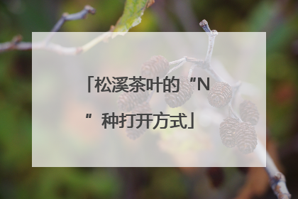 松溪茶叶的“N”种打开方式