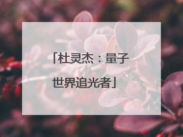 杜灵杰：量子世界追光者