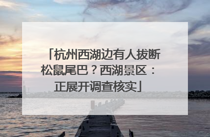 杭州西湖边有人拔断松鼠尾巴？西湖景区：正展开调查核实