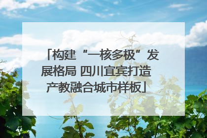 构建“一核多极”发展格局 四川宜宾打造产教融合城市样板