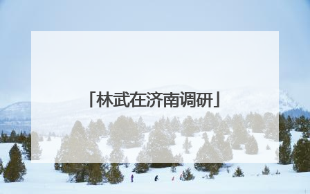 林武在济南调研