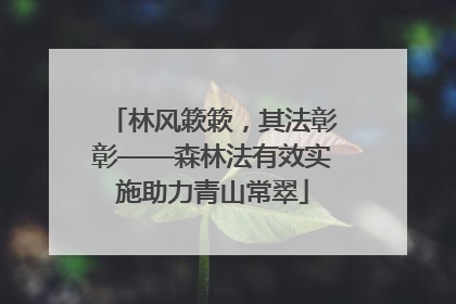 林风簌簌,其法彰彰——森林法有效实施助力青山常翠