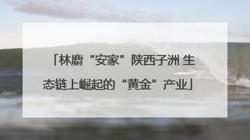 林麝“安家”陕西子洲 生态链上崛起的“黄金”产业