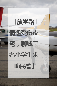 放学路上偶遇受伤夜鹭，聊城三名小学生求助民警