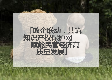 政企联动，共筑知识产权保护网——赋能民营经济高质量发展