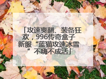 攻速爽翻、装备狂欢，996传奇盒子新服“蓝猫攻速冰雪”不嗨不成活