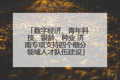 数字经济、青年科技、银龄、种业 济南专项支持四个细分领域人才队伍建设