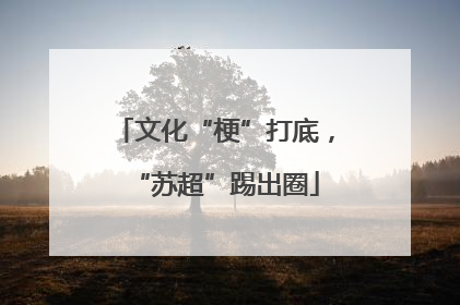 文化“梗”打底，“苏超”踢出圈