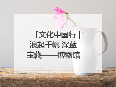 文化中国行｜浪起千帆 深蓝宝藏——博物馆里的海丝遗珍