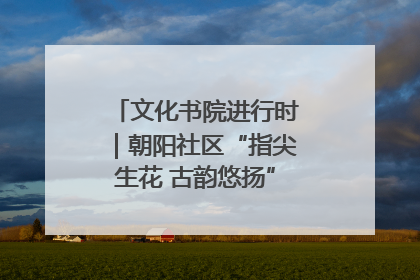 文化书院进行时｜朝阳社区“指尖生花 古韵悠扬”公益课堂开课了