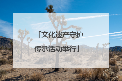 文化遗产守护传承活动举行