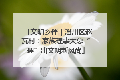 文明乡伴｜淄川区赵瓦村：家族理事大总“理”出文明新风尚