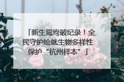 新生鸳鸯破纪录！全民守护绘就生物多样性保护“杭州样本”