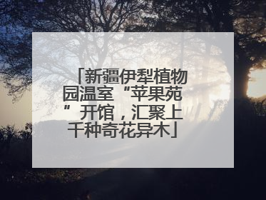新疆伊犁植物园温室“苹果苑”开馆，汇聚上千种奇花异木