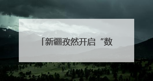 新疆孜然开启“数字丝路”新征程