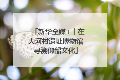 新华全媒+丨在大河村遗址博物馆寻溯仰韶文化