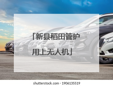 新县稻田管护用上无人机