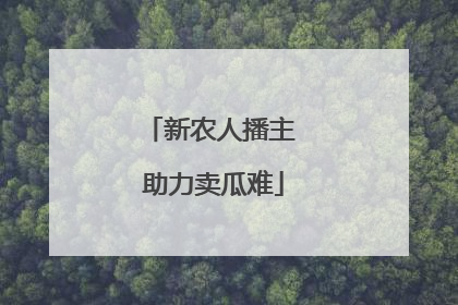 新农人播主 助力卖瓜难