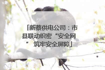 新蔡供电公司：市县联动织密“安全网” 筑牢安全屏障