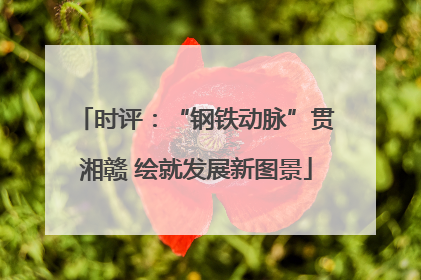 时评：“钢铁动脉”贯湘赣 绘就发展新图景