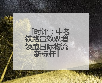 时评：中老铁路量效双增领跑国际物流新标杆