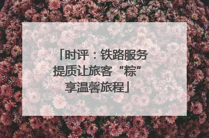 时评：铁路服务提质让旅客“粽”享温馨旅程