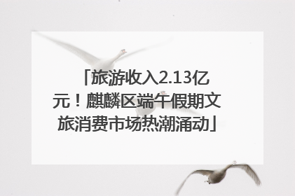 旅游收入2.13亿元！麒麟区端午假期文旅消费市场热潮涌动