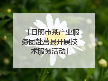 日照市茶产业服务团赴莒县开展技术服务活动