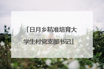日月乡精准培育大学生村党支部书记