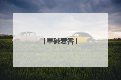 旱碱麦香