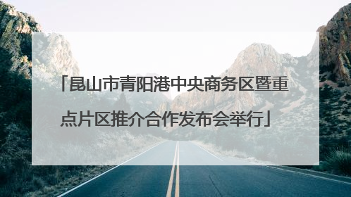 昆山市青阳港中央商务区暨重点片区推介合作发布会举行