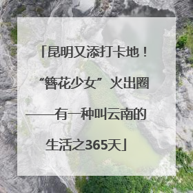 昆明又添打卡地！“簪花少女”火出圈——有一种叫云南的生活之365天