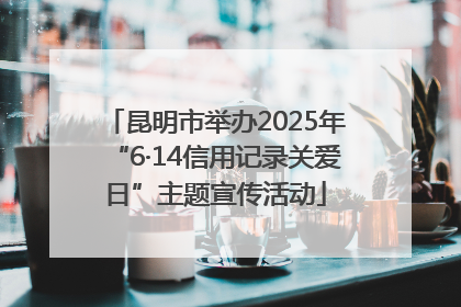 昆明市举办2025年“6·14信用记录关爱日”主题宣传活动