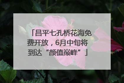 昌平七孔桥花海免费开放，6月中旬将到达“颜值巅峰”