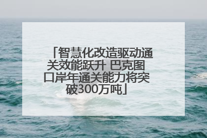 智慧化改造驱动通关效能跃升 巴克图口岸年通关能力将突破300万吨