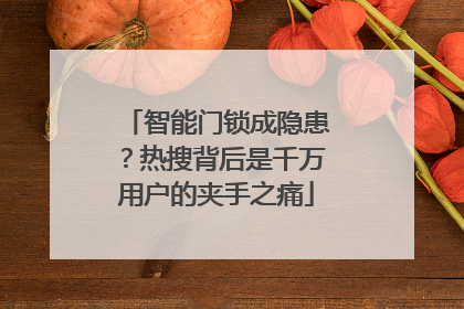 智能门锁成隐患？热搜背后是千万用户的夹手之痛