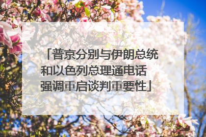 普京分别与伊朗总统和以色列总理通电话 强调重启谈判重要性