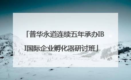 普华永道连续五年承办IBI国际企业孵化器研讨班