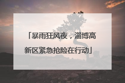 暴雨狂风夜，淄博高新区紧急抢险在行动