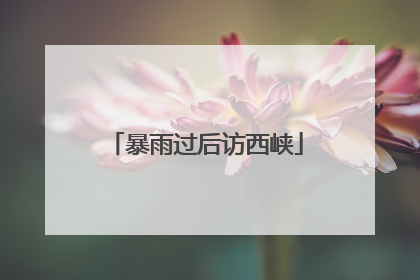 暴雨过后访西峡