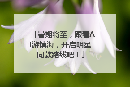 暑期将至，跟着AI游镇海，开启明星同款路线吧！