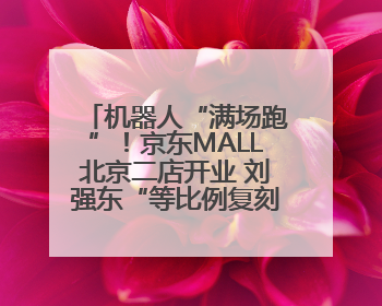 机器人“满场跑”！京东MALL北京二店开业 刘强东“等比例复刻”能否带火线下“618”？