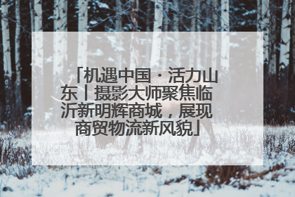 机遇中国・活力山东丨摄影大师聚焦临沂新明辉商城，展现商贸物流新风貌
