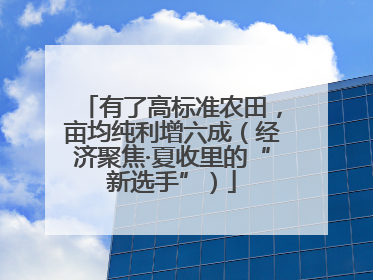 有了高标准农田，亩均纯利增六成（经济聚焦·夏收里的“新选手”）