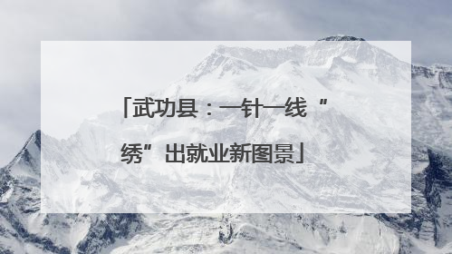 武功县：一针一线“绣”出就业新图景