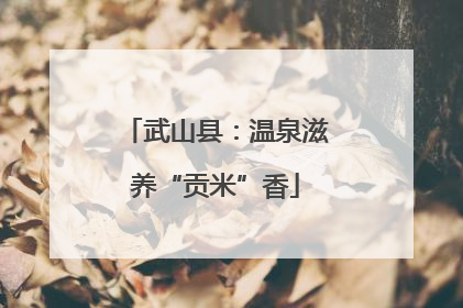 武山县：温泉滋养“贡米”香