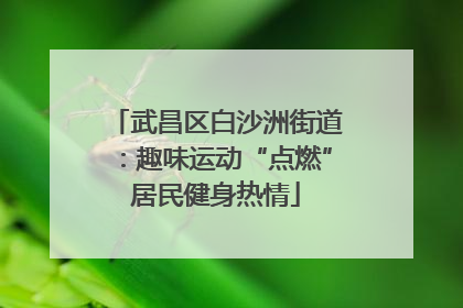 武昌区白沙洲街道：趣味运动“点燃”居民健身热情