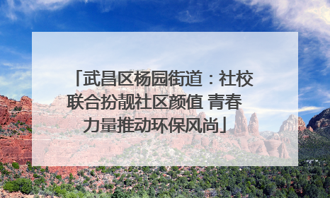 武昌区杨园街道：社校联合扮靓社区颜值 青春力量推动环保风尚