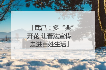 武昌：多“典”开花 让普法宣传走进百姓生活