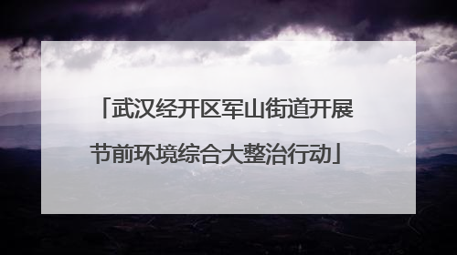 武汉经开区军山街道开展节前环境综合大整治行动